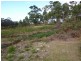 178 Blowhole Road, Eaglehawk Neck TAS 7179