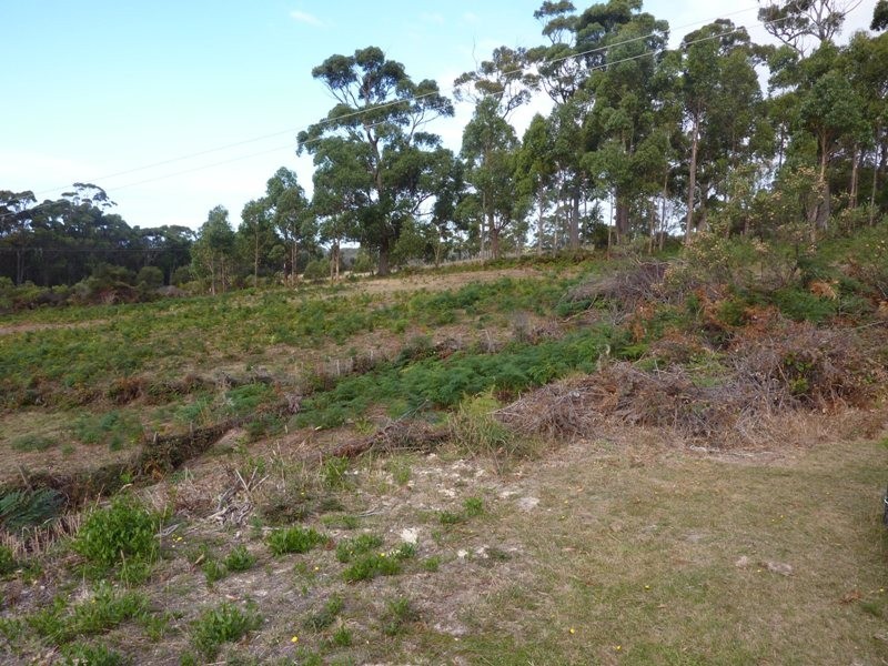 178 Blowhole Road, Eaglehawk Neck TAS 7179