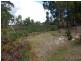 178 Blowhole Road, Eaglehawk Neck TAS 7179