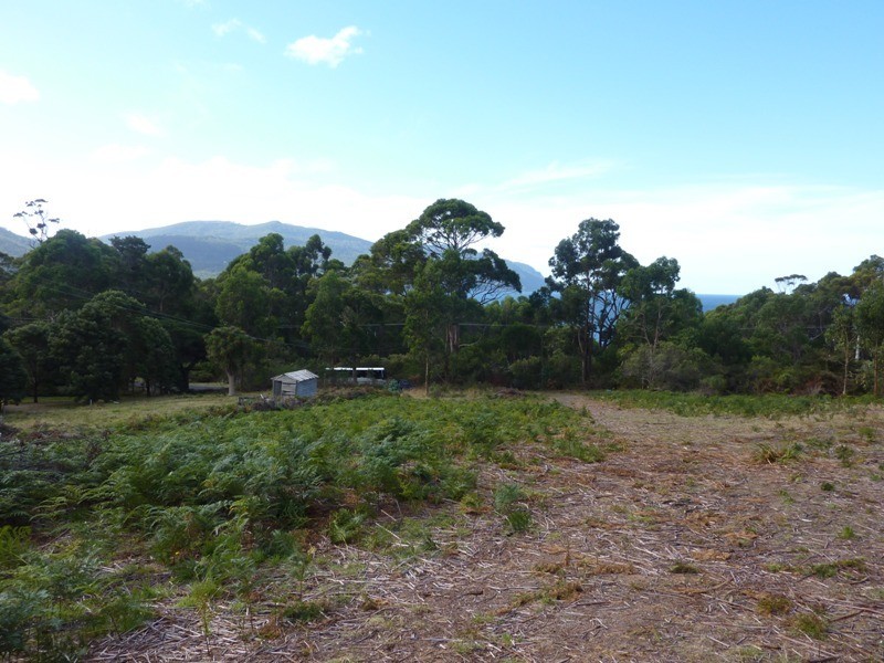 178 Blowhole Road, Eaglehawk Neck TAS 7179