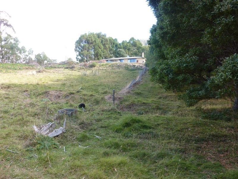178 Blowhole Road, Eaglehawk Neck TAS 7179