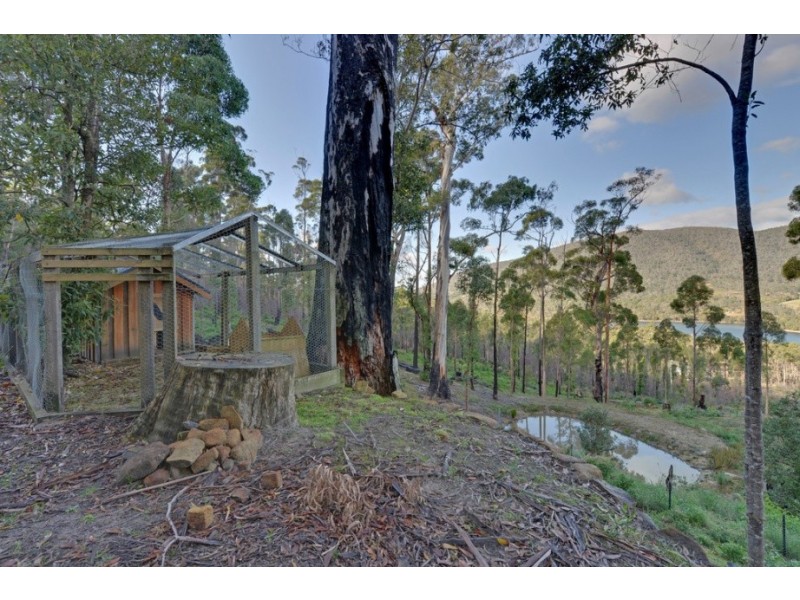 236 Old Jetty Road, Eaglehawk Neck TAS 7179