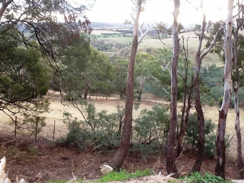 6 Walsh Lane, Sorell TAS 7172