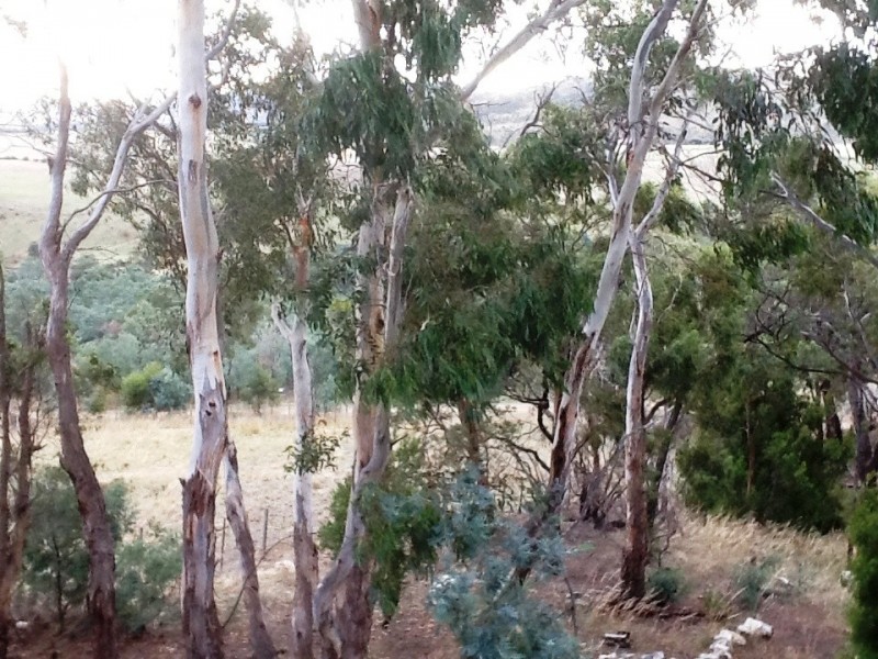 6 Walsh Lane, Sorell TAS 7172