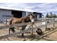2101 Nugent Road, Nugent TAS 7172