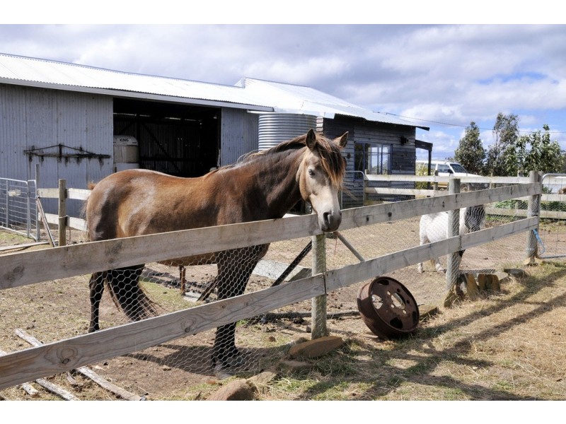 2101 Nugent Road, Nugent TAS 7172