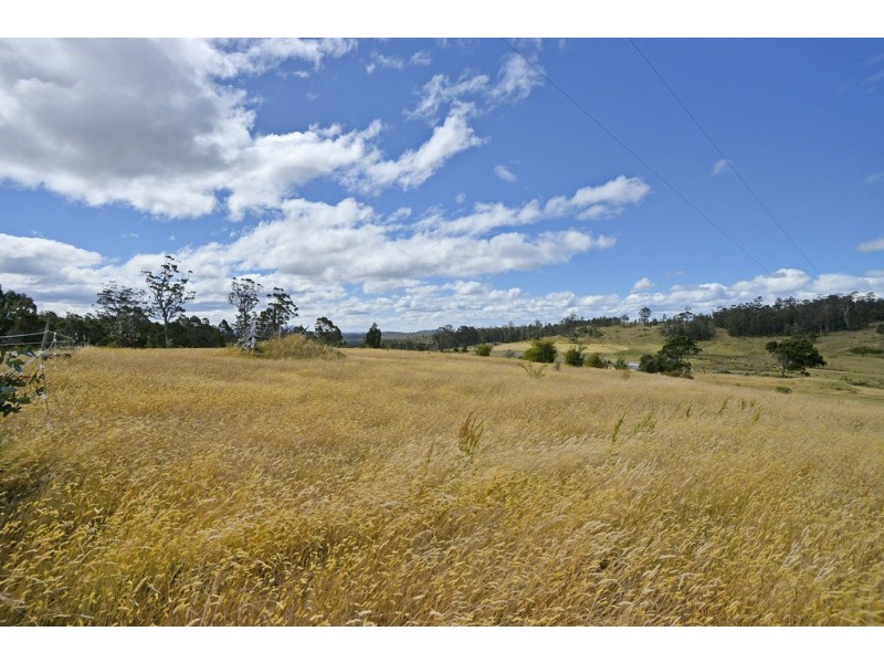 2101 Nugent Road, Nugent TAS 7172