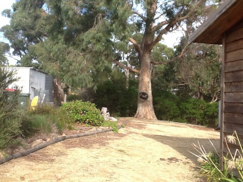14 Wedge Avenue, White Beach TAS 7184