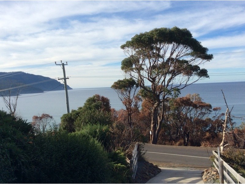 114 Blowhole Road, Eaglehawk Neck TAS 7179
