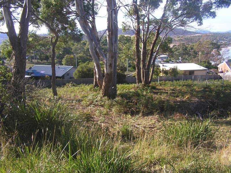 7 Kookaburra Street, Primrose Sands TAS 7173