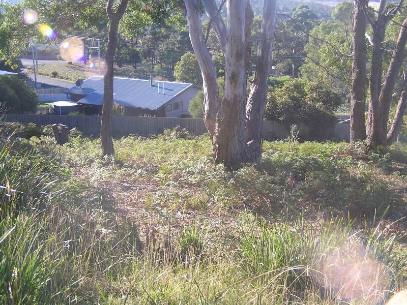 7 Kookaburra Street, Primrose Sands TAS 7173