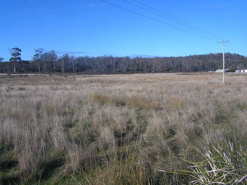Lot 1 Tasman Highway, Little Swanport TAS 7190
