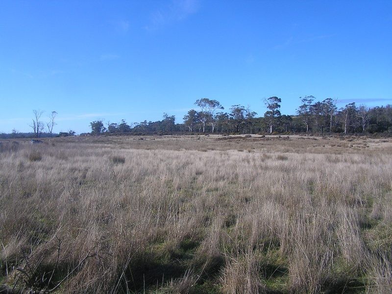 Lot 1 Tasman Highway, Little Swanport TAS 7190