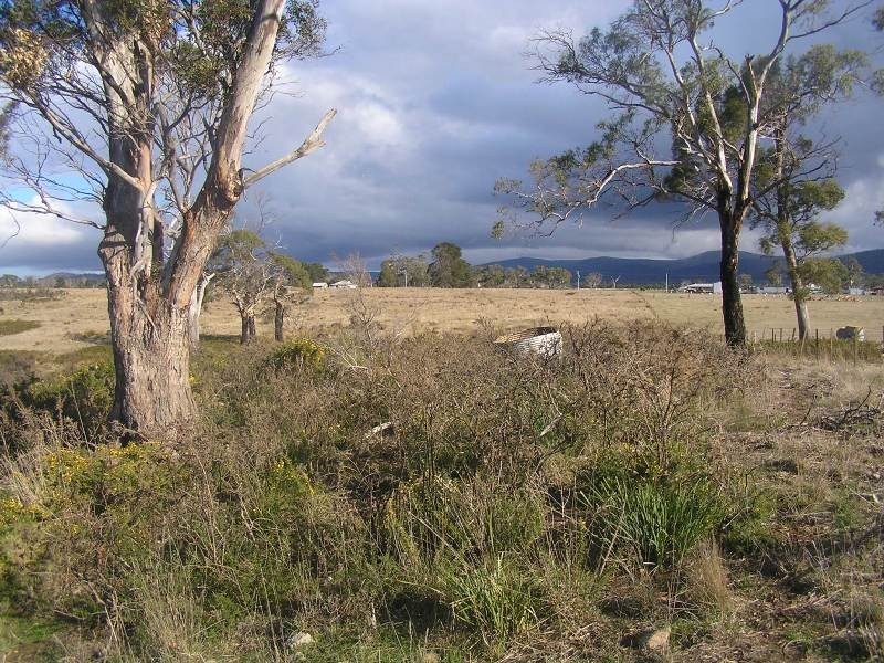 Lot 1 Tasman Highway, Little Swanport TAS 7190
