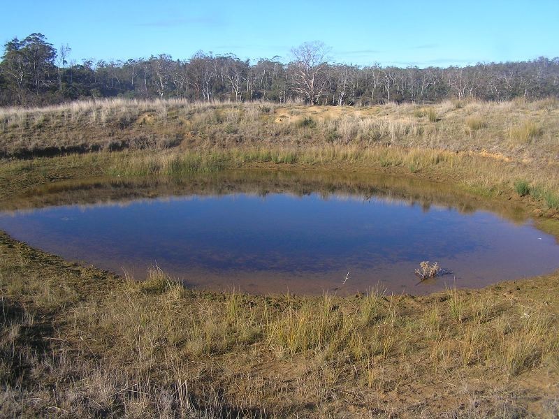 Lot 1 Tasman Highway, Little Swanport TAS 7190