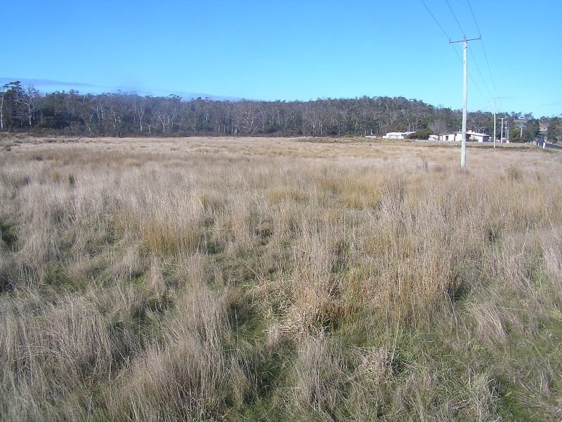 Lot 1 Tasman Highway, Little Swanport TAS 7190