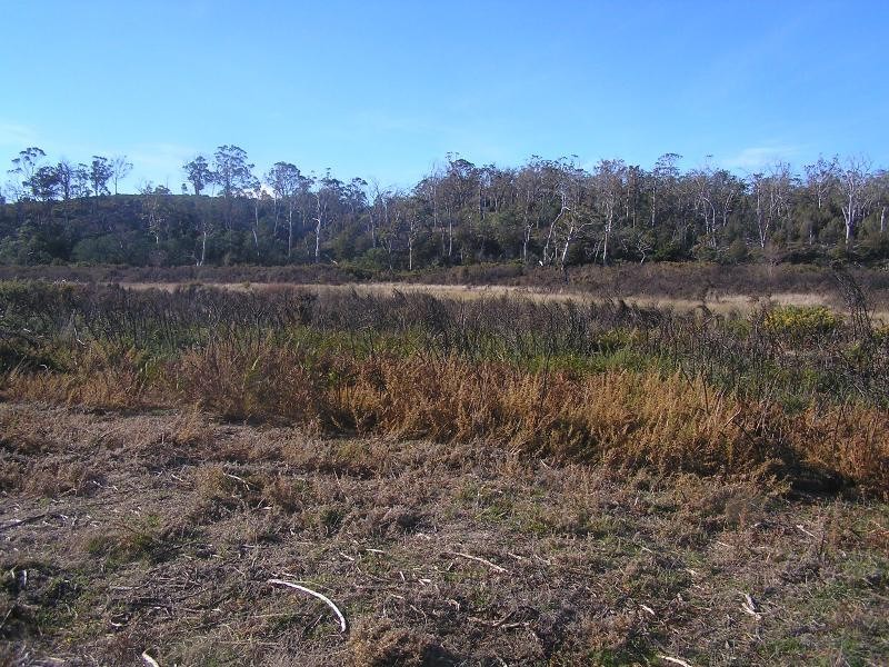 Lot 1 Tasman Highway, Little Swanport TAS 7190