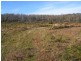 Lot 1 Tasman Highway, Little Swanport TAS 7190