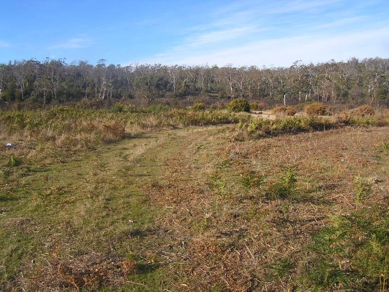 Lot 1 Tasman Highway, Little Swanport TAS 7190