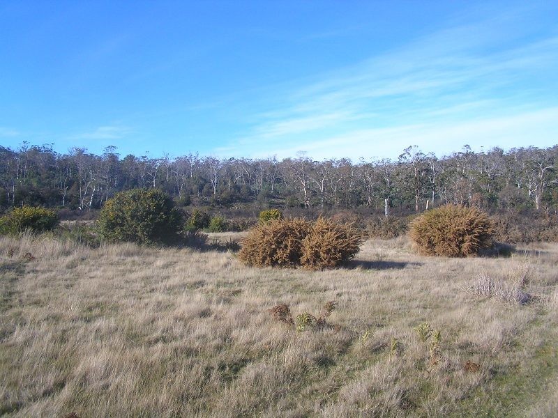 Lot 1 Tasman Highway, Little Swanport TAS 7190