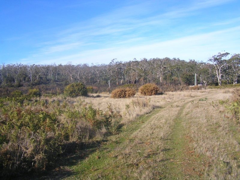 Lot 1 Tasman Highway, Little Swanport TAS 7190