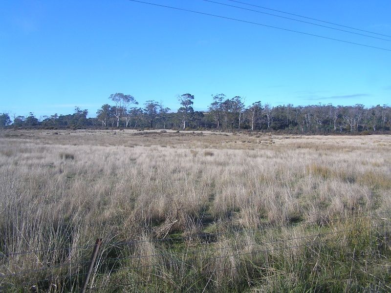 Lot 1 Tasman Highway, Little Swanport TAS 7190