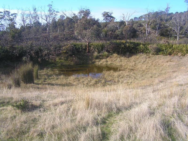 Lot 1 Tasman Highway, Little Swanport TAS 7190