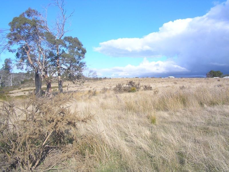 Lot 1 Tasman Highway, Little Swanport TAS 7190