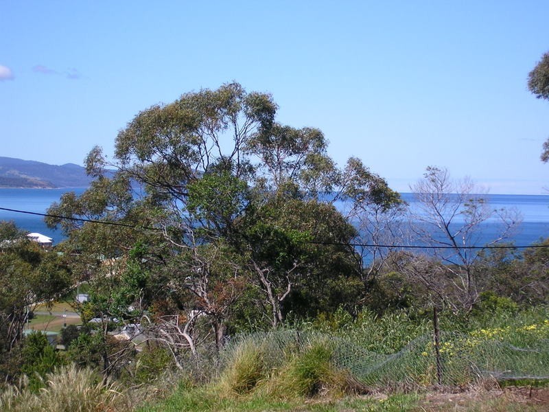 2 Pitt Street, Dodges Ferry TAS 7173