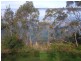 15 Susans Bay Road, Primrose Sands TAS 7173