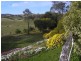 5 Tanya Place, Lewisham TAS 7173