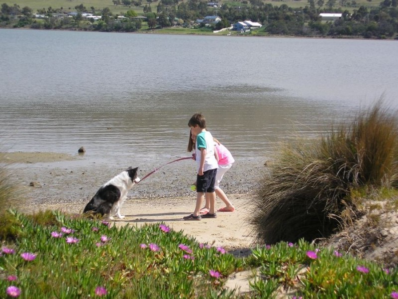 Lots 10-22, 260 Penna Road, Midway Point TAS 7171