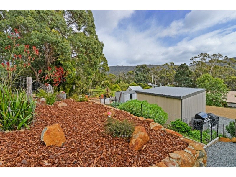 12 Ferntree Road, Eaglehawk Neck TAS 7179