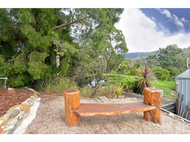 12 Ferntree Road, Eaglehawk Neck TAS 7179