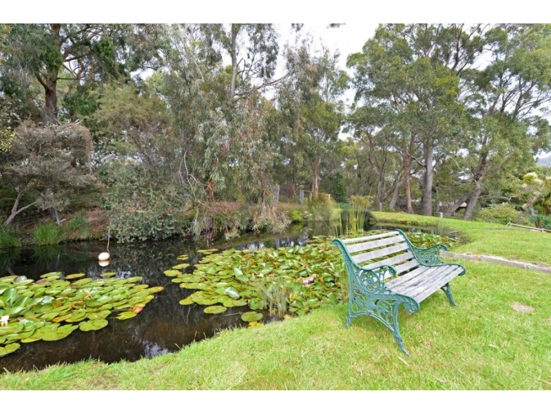 12 Ferntree Road, Eaglehawk Neck TAS 7179