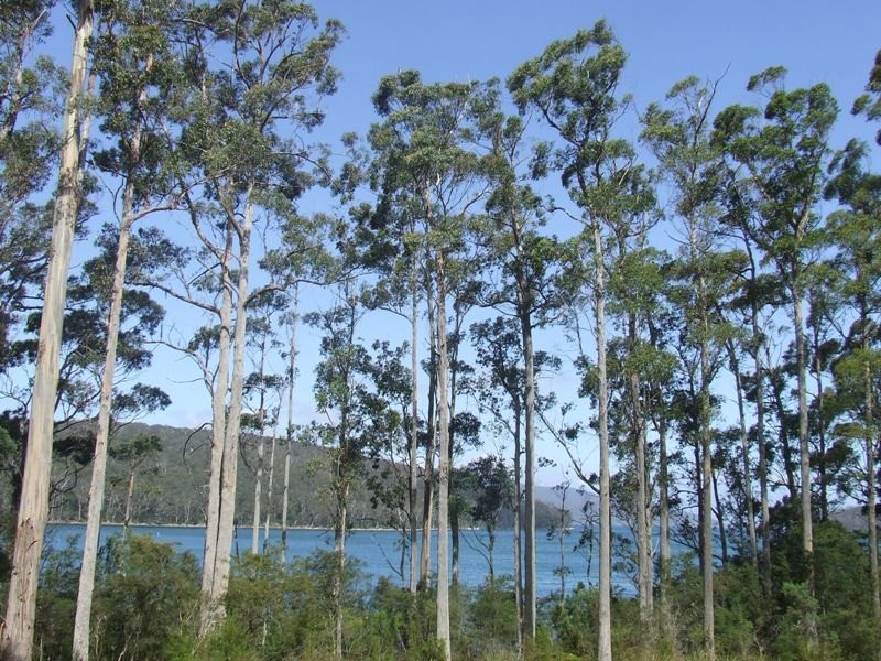 Lot 4-6619 Arthur Highway, Port Arthur TAS 7182