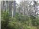 Lot 4-6619 Arthur Highway, Port Arthur TAS 7182