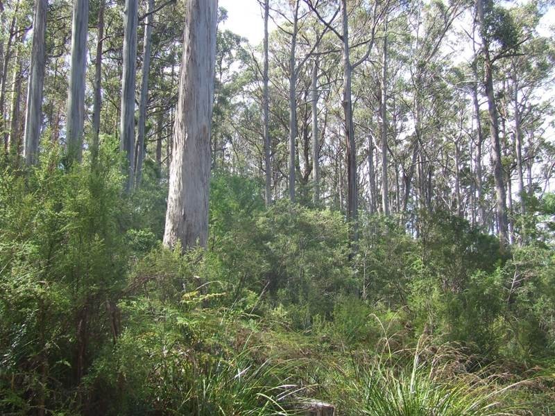 Lot 4-6619 Arthur Highway, Port Arthur TAS 7182
