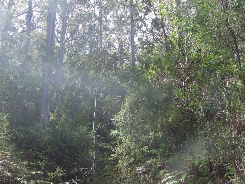 Lot 4-6619 Arthur Highway, Port Arthur TAS 7182