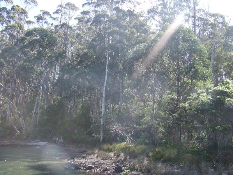Lot 4-6619 Arthur Highway, Port Arthur TAS 7182
