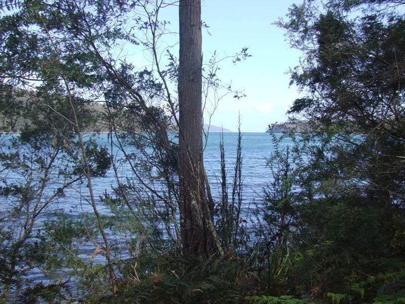 Lot 4-6619 Arthur Highway, Port Arthur TAS 7182