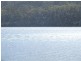 Lot 4-6619 Arthur Highway, Port Arthur TAS 7182