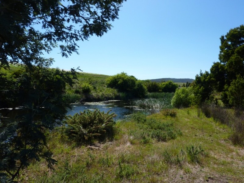 7 Moorpark Court, Forcett TAS 7173