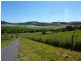 7 Moorpark Court, Forcett TAS 7173