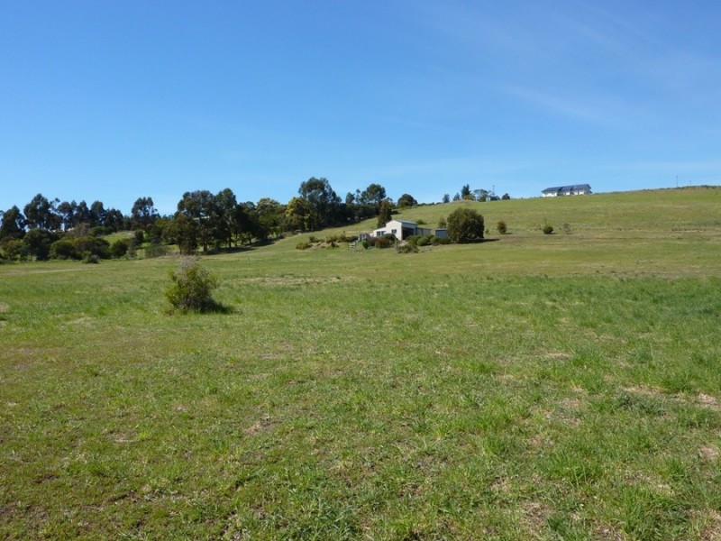7 Moorpark Court, Forcett TAS 7173