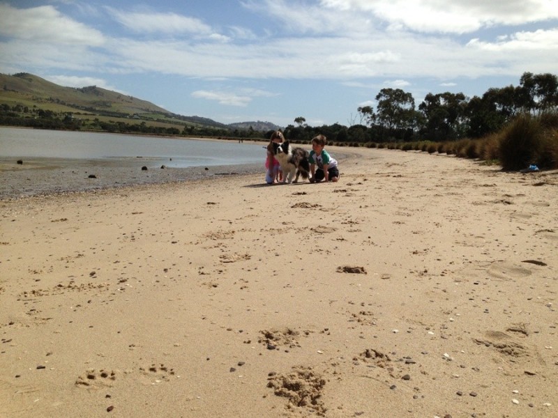 Lot 13, 260 Penna Road, Midway Point TAS 7171