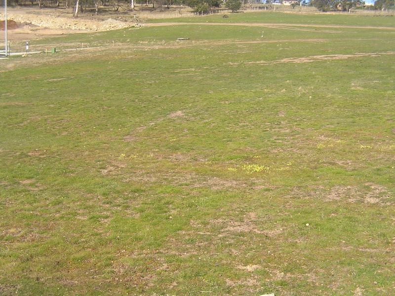 Lot 110 Olive Grove Estate, Sugarloaf Road, Risdon Vale TAS 7016