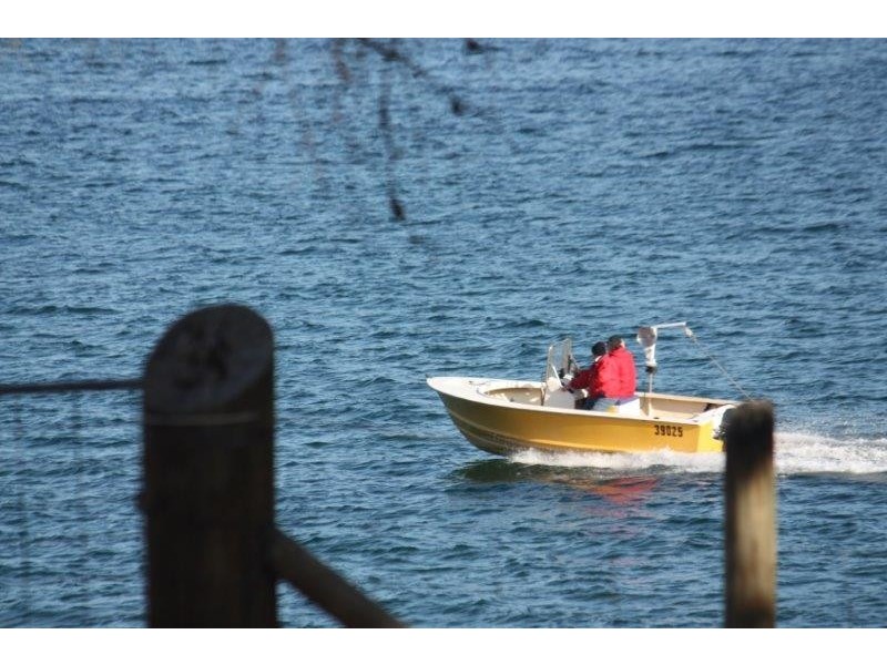 568 White Beach Road, White Beach TAS 7184