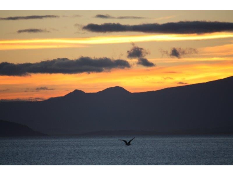 568 White Beach Road, White Beach TAS 7184