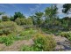 114 Lewisham Scenic Drive, Lewisham TAS 7173